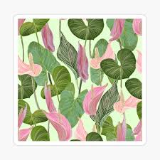 We did not find results for: Lush Lily Poster By Galeswitzer Redbubble