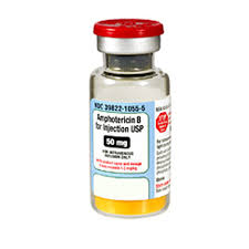 Amphotericin b liposomal injection comes as a suspension (liquid) to be injected intravenously (into a vein). Amphotericin B At Best Price In India