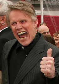 Az ismert arc: Gary Busey