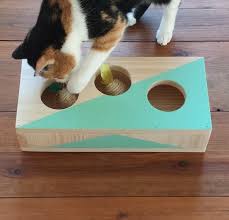 Katzenspielzeug Selber Basteln Ideen Anregungen Fur Tolle Spielsachen Katzenspielzeug Selber Basteln Katzen Spielzeug Katzenspielzeug