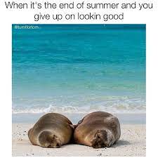 15 Memes That Sum Up How We Feel About The End Of Summer Memebase Funny Memes