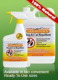 How do i keep cats out of the sandbox? 19 Rid Cats N Dogs Out Of Ur Yard Ideas Cats Cat Repellant Keep Cats Away