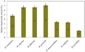 Image result for Hypoxis nyasica