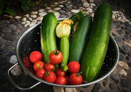 Check spelling or type a new query. Harvest Vegetables Tomato Free Photo On Pixabay