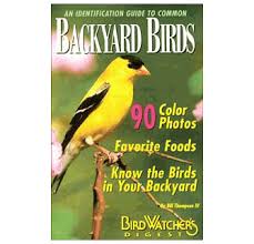 An Identification Guide To Common Backyard Birds