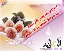 نتيجة بحث الصور عن ديني