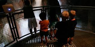 Along the way, we've developed exclusive techniques to deliver turf that looks good and stands up to all kinds of stress. A Glimpse Of Las Vegas Past And Future