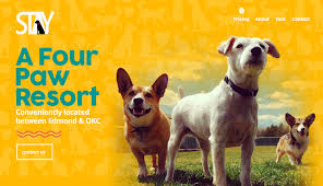 Michaela holden reviewed hefner road pet resort —5 star. Pricing Stay A Four Paw Resort
