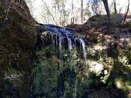 Natural waterfalls in florida are extremely well maintained and not too crowded, so this is a great way to experience nature to its fullest potential. Visit 3 Natural Waterfalls In Florida Backroad Planet