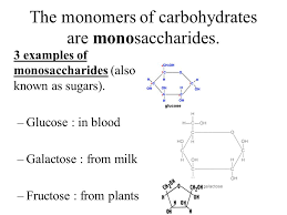 We did not find results for: Carbohydrates Good Or Bad You Get To Answer This Question At The End Monomers And Polymers Of Organic Compounds Ppt Download