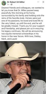 Wrangler Jayne's Horsemanship with Heart