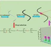 High sensitivity microcrack hydroxylated MWCNT/Ecoflex ...