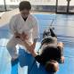 Japanese Aikido trial class for free event image