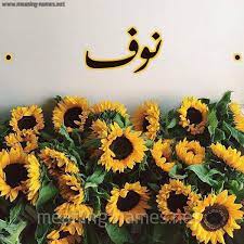 معاني الأسماء نوف معنى اسم نوف العلو والارتفاء facebook