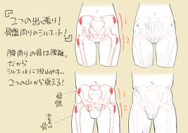 下田スケッチ【絵の描き方】 on X: こだわり強め！ 骨盤周り攻略ポイント！ t.coVMCW6mvdrW  X