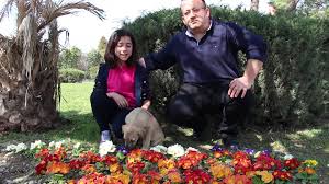Nilufer Belediyesi Veteriner Isleri Mudurlugu Hastane Nilufer Bursa Facebook 3 655 Fotograf