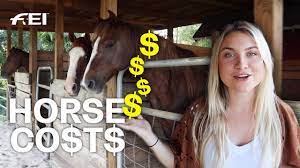 Then, there's the cost of transporting horses on an overseas flight — which cbs8 notes can be as much as $30,000 per horse. How Much Does It Cost To Have A Horse Feat Stephanie Moratto Guest Vlog Youtube