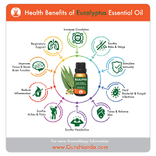 Pin On Essential Oils
