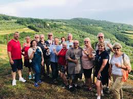 Image result for Wiesneria