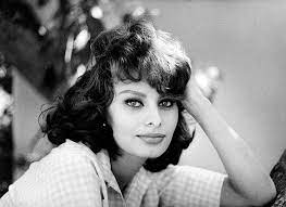 We update gallery with only quality interesting if you have good quality pics of sophia loren, you can add them to forum. Sophia Loren Young Sophia Loren Sofia Loren Sophia
