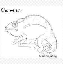 1700x2338 free printable coloring pages for adults more designs adult. A Color Of His Own Chameleon Coloring Page Png Image With Transparent Background Toppng
