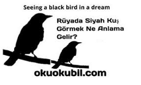 Okuokubil Com Adli Kullanicinin Dream Interpretation Ruya Tabirleri Panosundaki Pin Ruya Siyah Kus