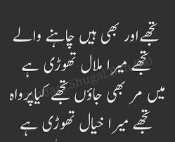 Friendship Emotional Best Quotes In Urdu