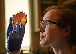 Affiliated Graduate Programs