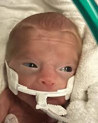 Hendrick James Hanson Obituary October 19, 2024