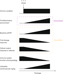 Demyelinating pn comparative features treatment strategies. Chronic Inflammation In The Etiology Of Disease Across The Life Span Nature Medicine
