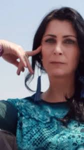 7 vídeos para conhecer melhor a comunidade LGBTQIAPN+