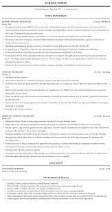 What others are saying professional curriculum vitae / resume template for all job seekers sample template of an excellent company secretary trainee / simple . Company Secretary Resume Sample Mintresume
