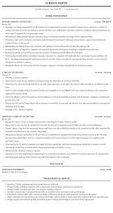 In fact, she was a valuable member of our company. Company Secretary Resume Sample Mintresume