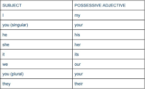 possessive adjectives and pronouns wall street english