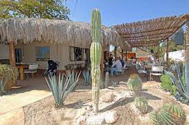 Expedia.mx te ofrece toda la información que necesitas. Il Giordino Pizzeria Todos Santos 2008 4607 R2 Los Cabos Guide