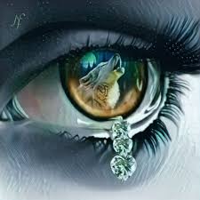 Lycan Anubis Armando Eyeball Art Eye Art Persian Art Painting