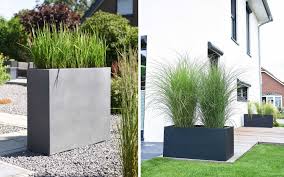 Ziergraser Im Kubel Hingucker Auf Balkon Und Terrasse Vivanno In 2020 Pflanzideen Terrasse Pflanzen Terassen Bepflanzung