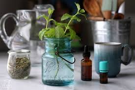 By cabell tomlinson frankies 570 spuntino new york new york. 8 Lemon Balm Benefits Easy Recipes For Tea Tincture More