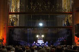 Steezysammy dildo services were overall enjoyable, but with