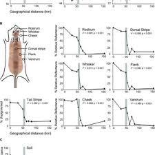 Not only is evolution happening this speed is essential if you're a desert mouse living in an environment where a volcanic eruption can reverse selective pressure in nearly an instant. Pdf Natural Selection Along An Environmental Gradient A Classic Cline In Mouse Pigmentation