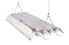 23l x 12w x 2.5h; T5 Ho Indoor Grow Light 2 Ft 4 Lamps Dl824j Fluorescent Hydroponic Fixture Bloom Veg Daisy Chain With Bulbs Low Profile Only 2 Inch Height Kush And Kind
