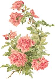 Catherine Klein Peach Roses Digital Elements Catherine Klein Vintage Roses Vintage Flowers