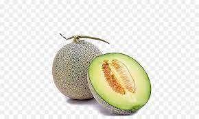In addition, all trademarks and usage rights belong to the related institution. Watermelon Cartoon Png Download 658 529 Free Transparent Haiyang Png Download Cleanpng Kisspng