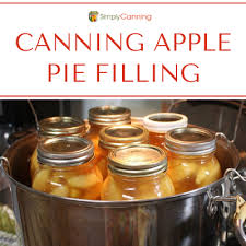 Combine sugar, clearjel®, cinnamon and nutmeg in a large stainless steel saucepan. Canning Apple Pie Filling Makes For A Quick And Tasty Treat