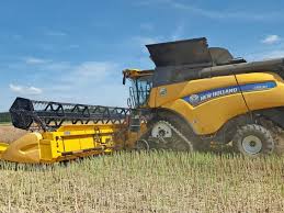 Mein diesjährigen rapshonig habe ich am sa. Durre Treibt Die Bauern In Den Raps