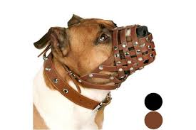 870 likes · 5 talking about this · 1,054 were here. Dick Smith Brown Collardirect Pitbull Dog Muzzle Leather Amstaff Muzzles Staffordshire Terrier Secure Basket Pet Supplies Dogs Training Obedience Muzzles