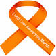 Mary Free Bed Prosthetics Limb Loss Awareness 5K event image