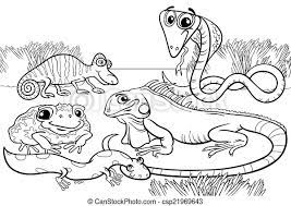 For boys and girls, kids and adults, teenagers and toddlers, preschoolers and older kids at school. Reptiles And Amphibians Coloring Page Black And White Cartoon Illustrations Of Funny Reptiles And Amphibians Animals Canstock