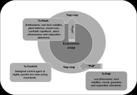 Pest control strategy that uses a combination of techniques to reduce pest pops to economically acceptable levels. Push Pull Strategies Pull And Push Tools And The Agents Used To Download Scientific Diagram