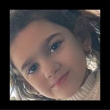 ثانوية الإمام الحسن -ع-مدارس المبرات